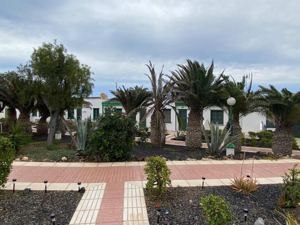 Casa Sandra Cocosol Costa De Antigua Exterior photo